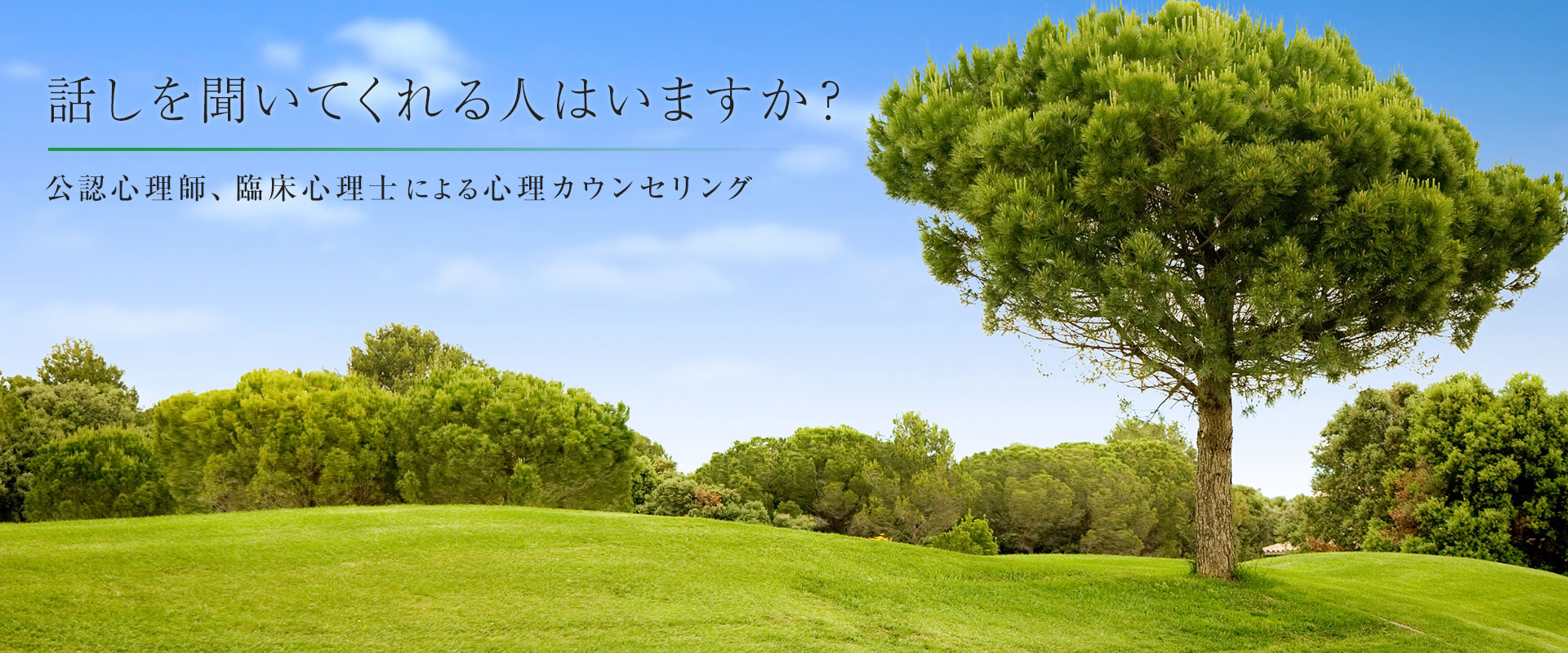 カウンセリングルームミーデン